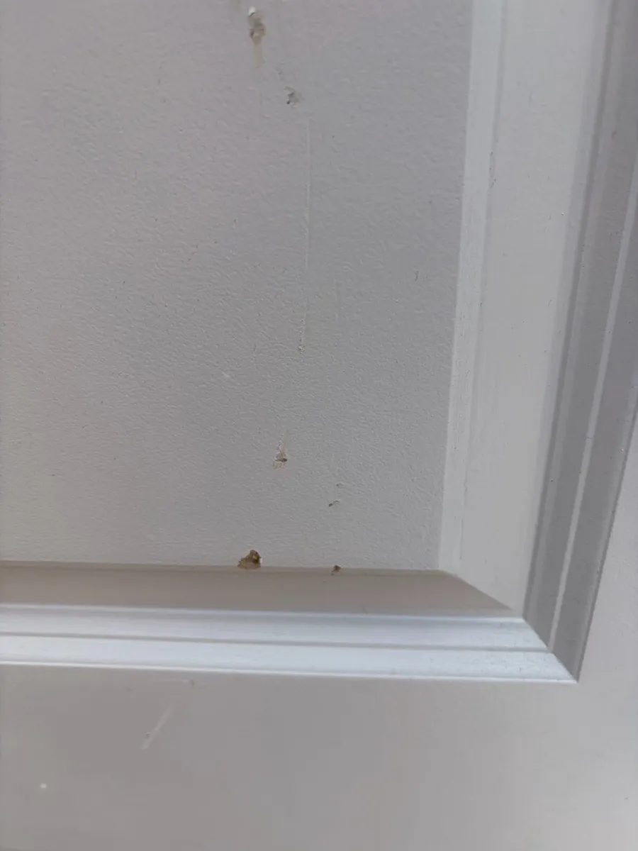 Shaker Style Door x 2 - Image 3