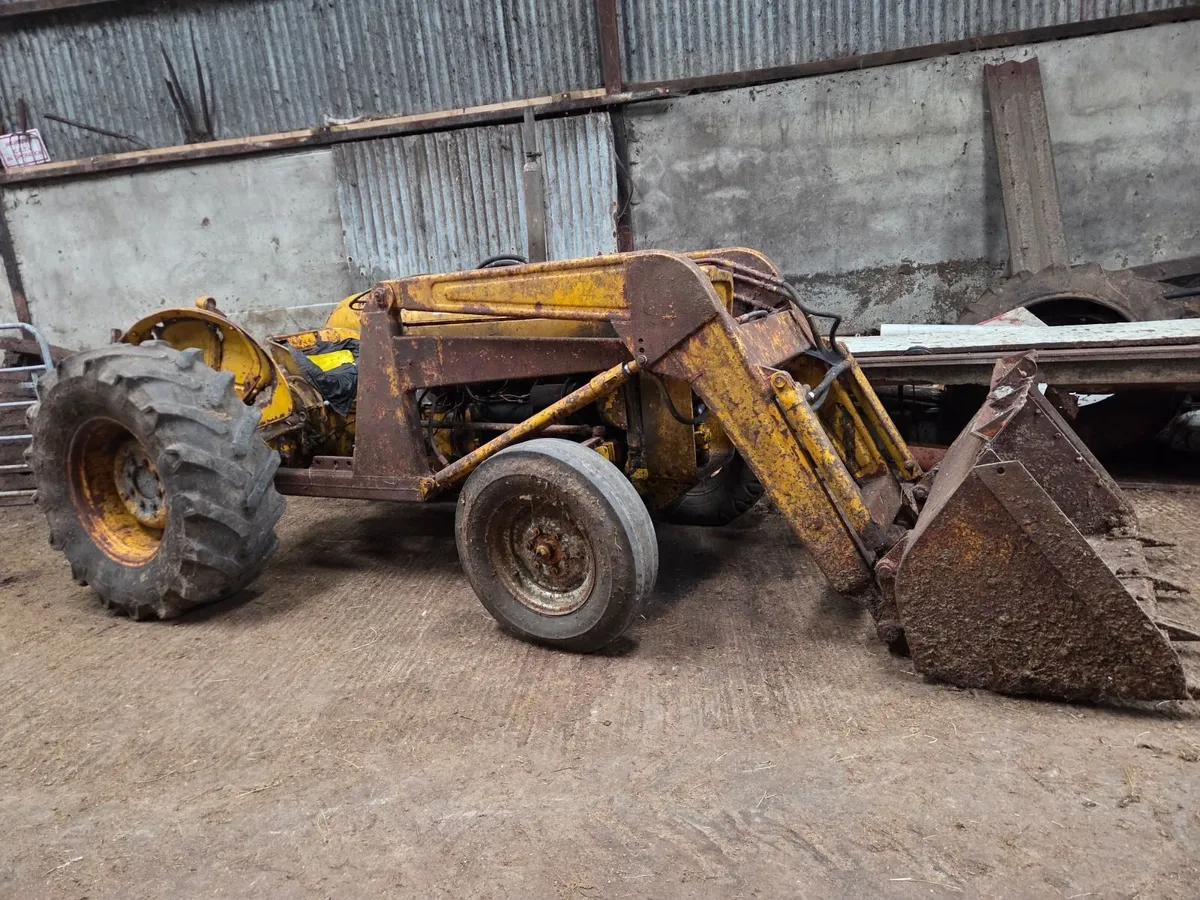 Vintage 203 MF Industrial with Loader - Image 2