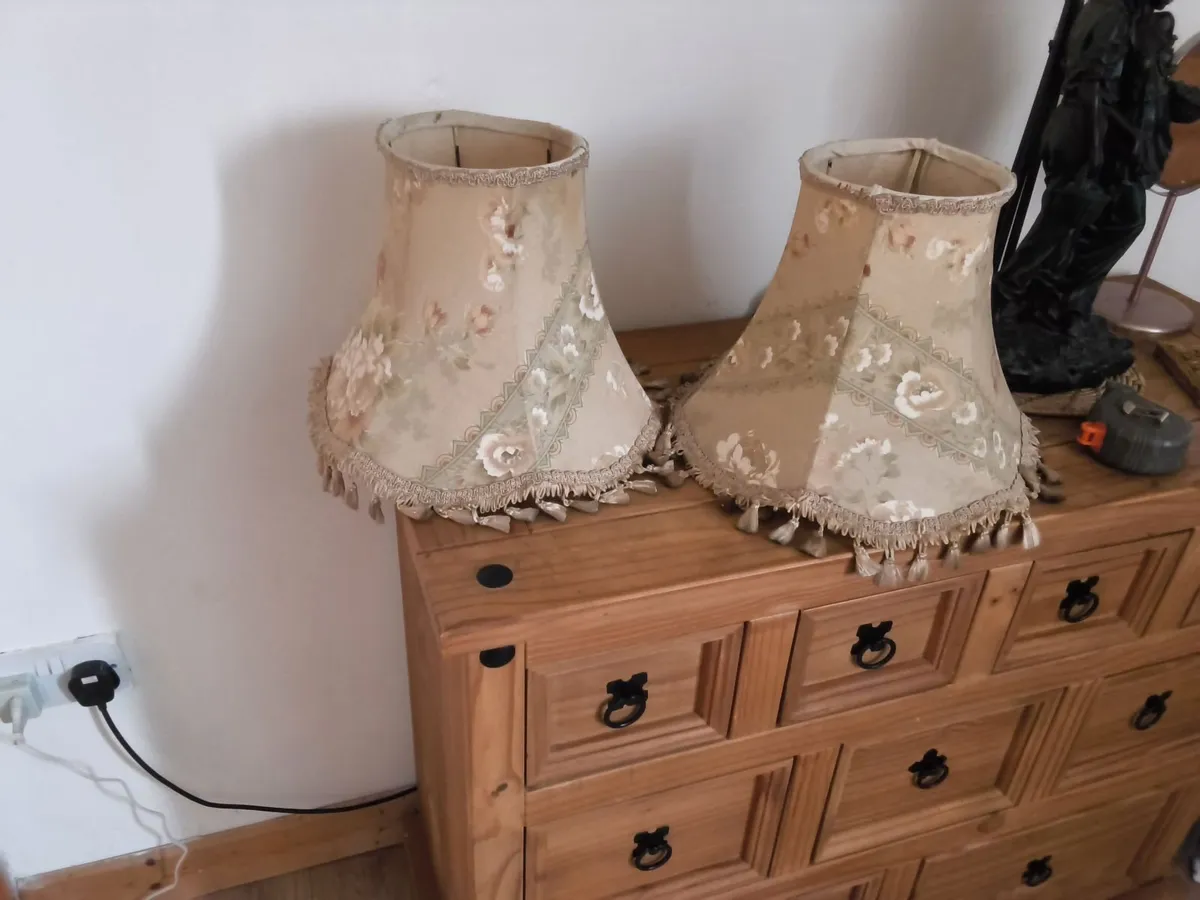 2 very old 1950s vintage shades - Image 1
