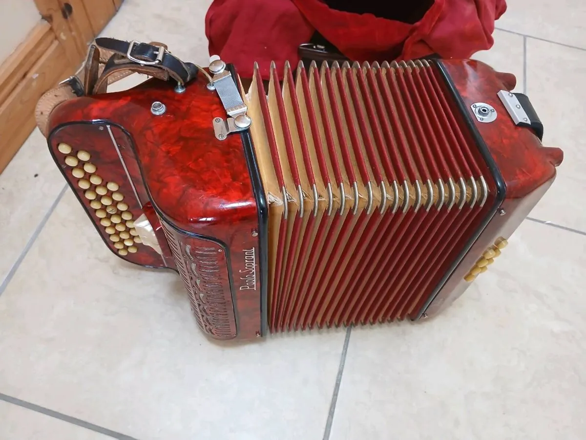 Button  Accordion - Image 2