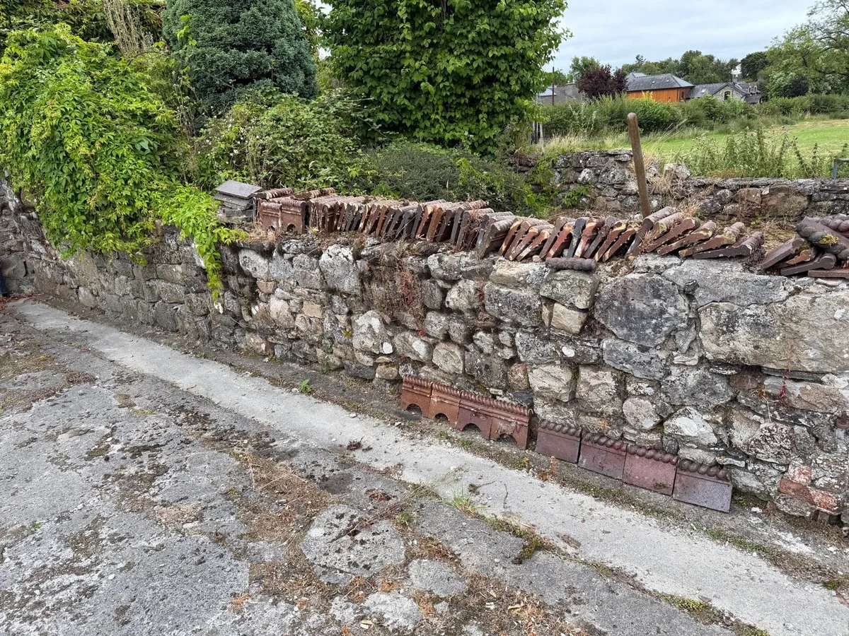 Garden edging - Image 2