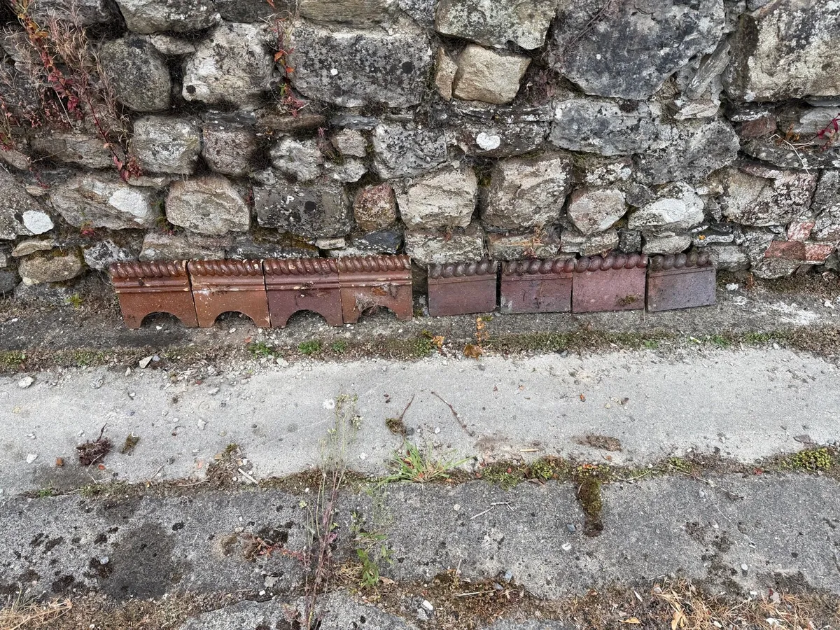 Garden edging - Image 1