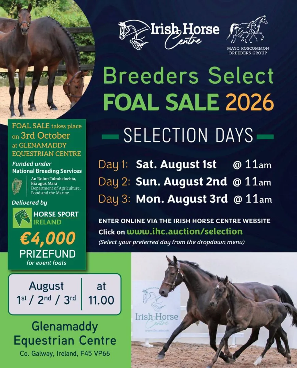 Foal selection days for Showjumping and Eventing - Image 1
