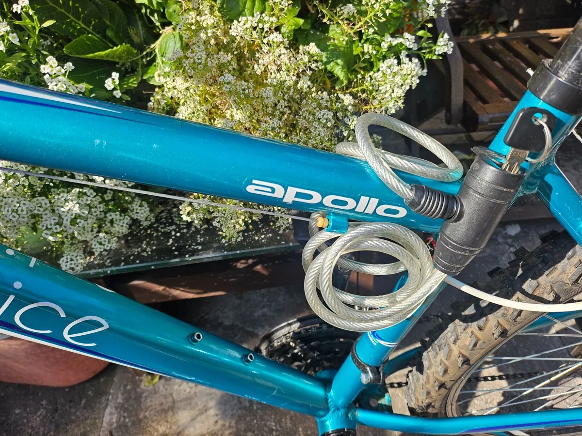 Women's Mountain Bike - Image 4