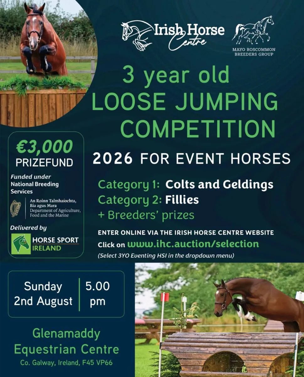 Foal selection days for Showjumping and Eventing - Image 2
