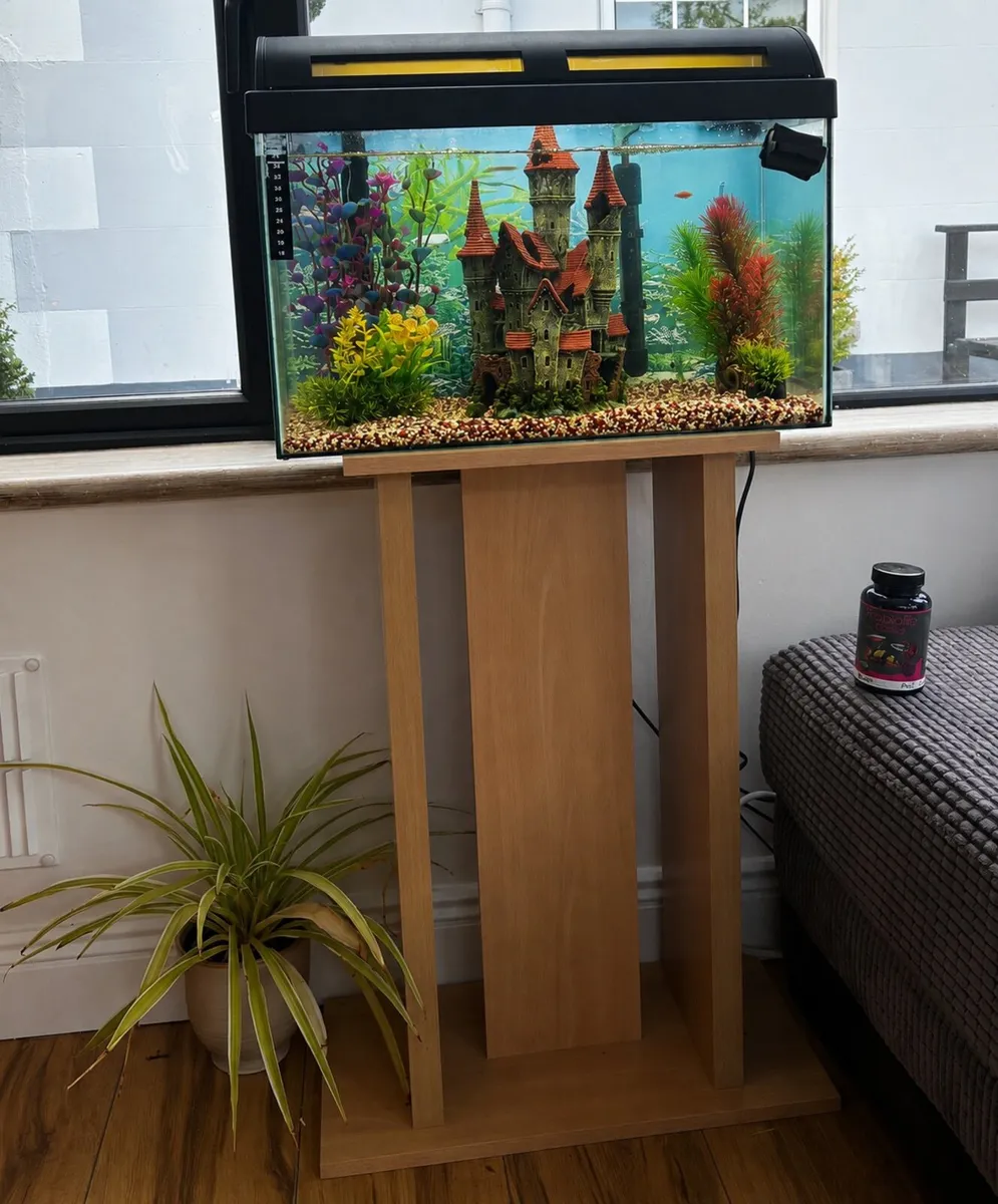 Tropical fish, tank and all accessories - Image 1