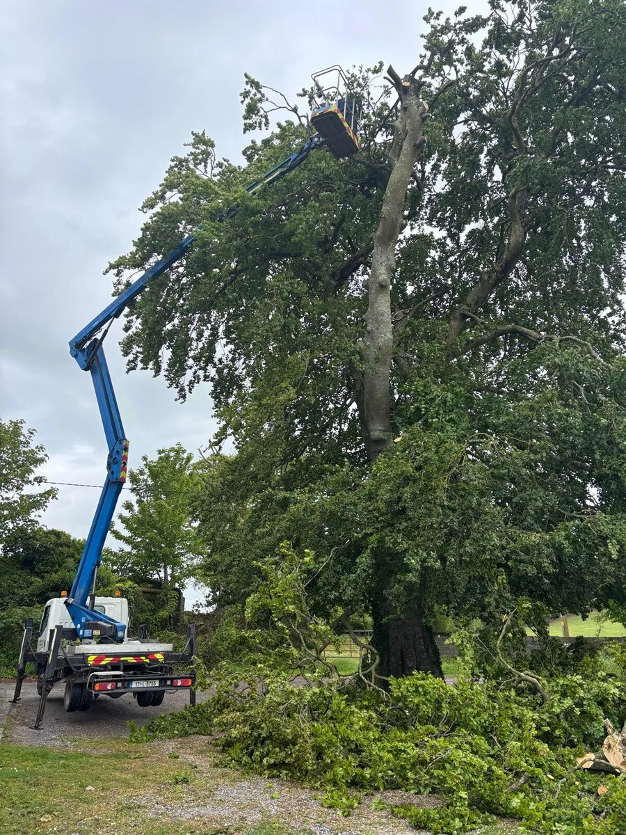 21metre cherrypicker + driver - Image 1