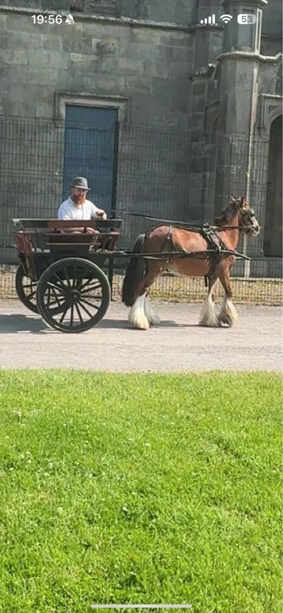 Driving cobs - Image 4