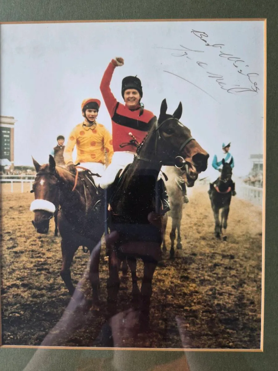 Signed Dawn Run Jonjo O'Neil picture - Image 3