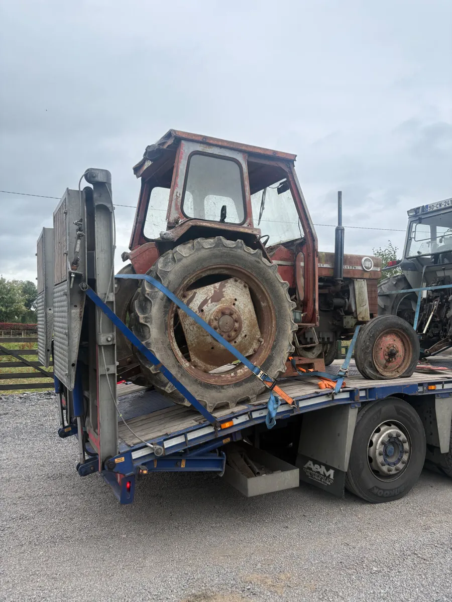 Massey Ferguson 165 Barnfind - Image 3