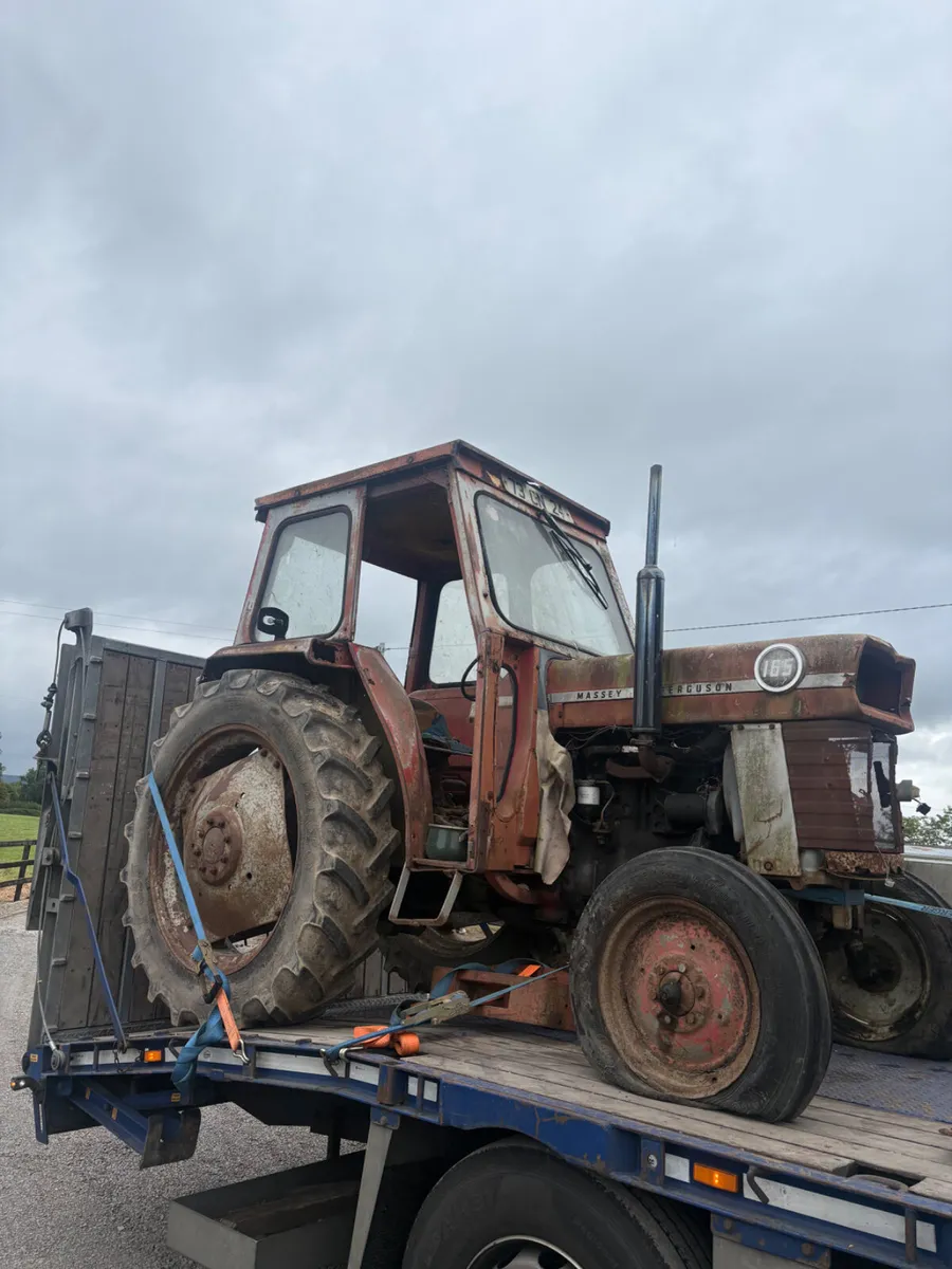 Massey Ferguson 165 Barnfind - Image 1