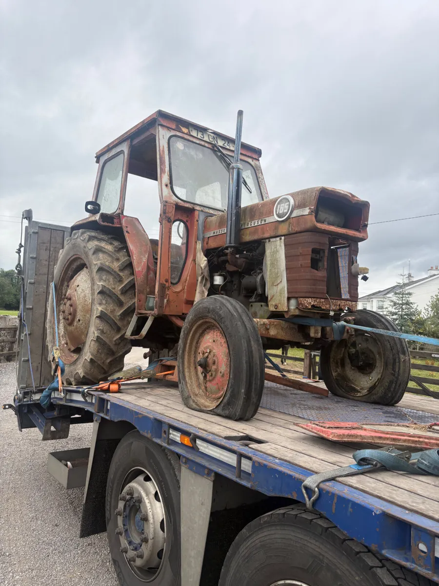 Massey Ferguson 165 Barnfind - Image 2