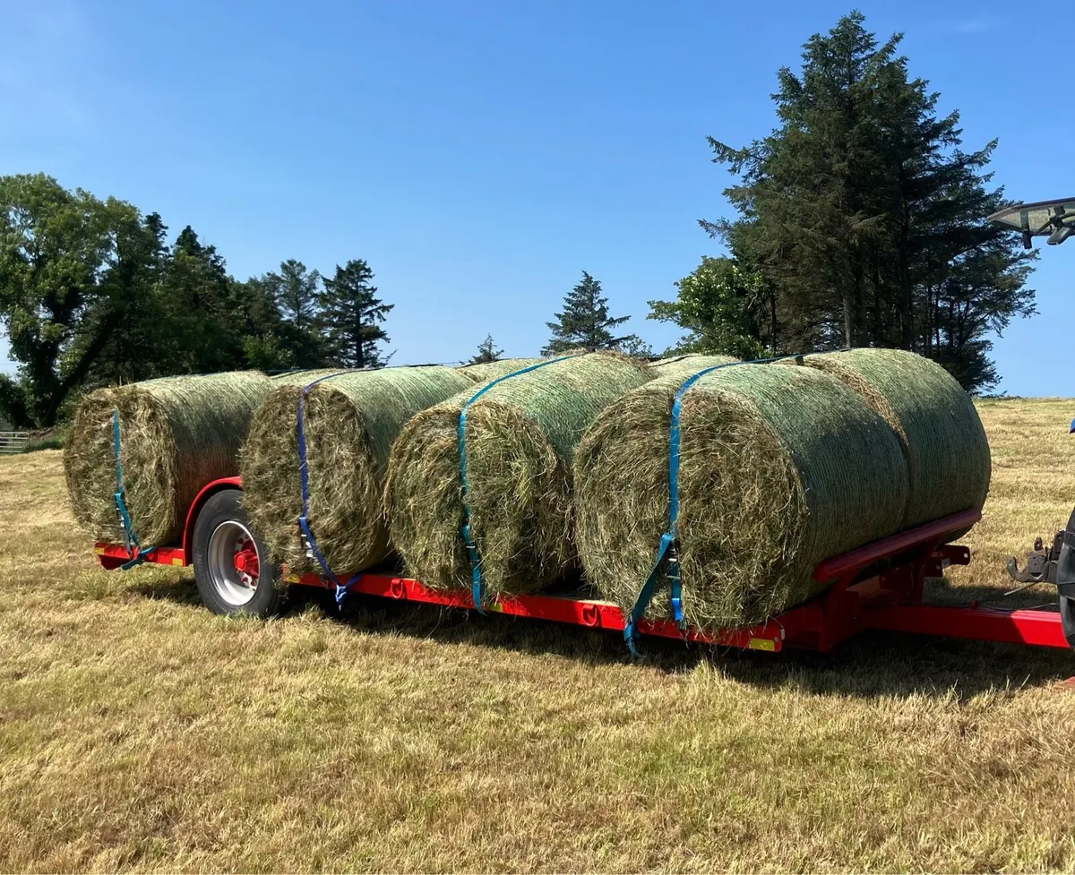 Bale trailer - Image 4