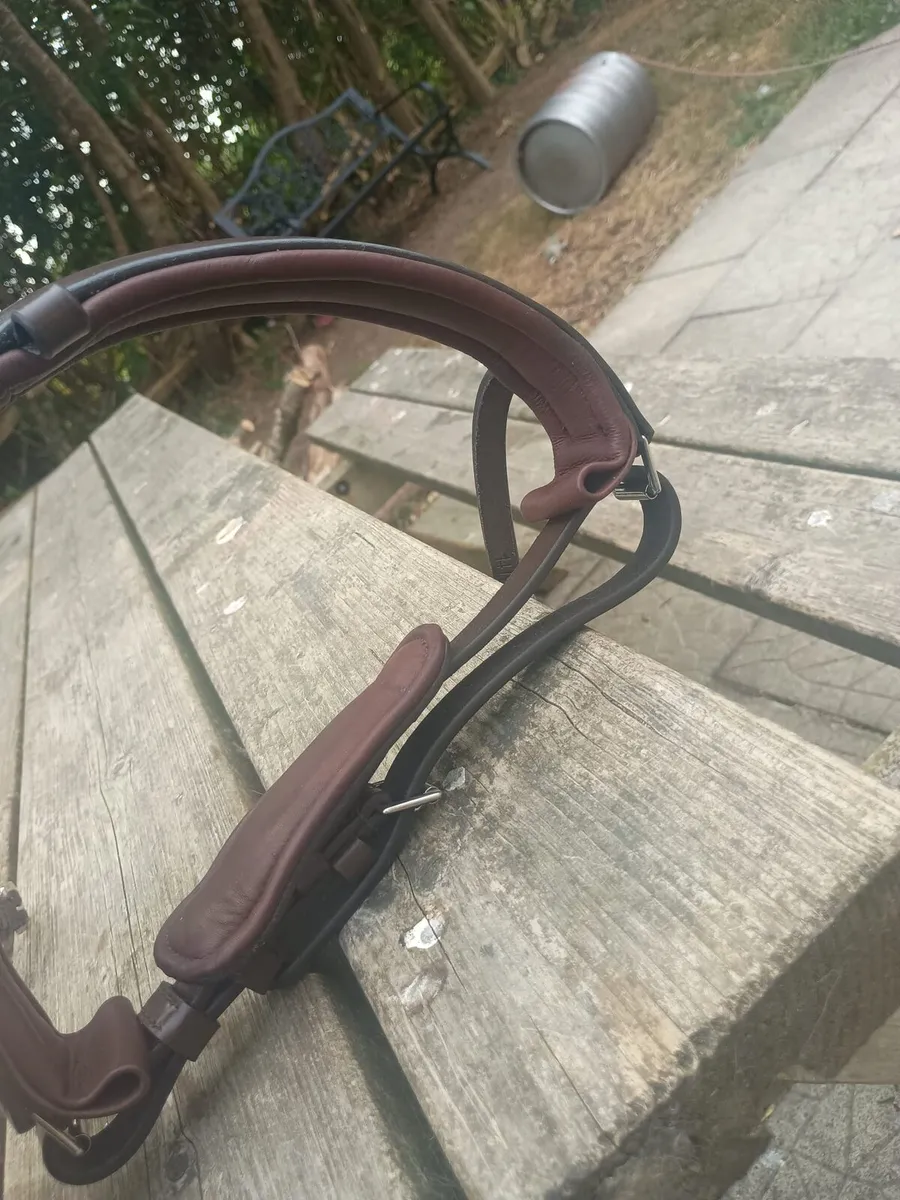 Nose band cob size - Image 4