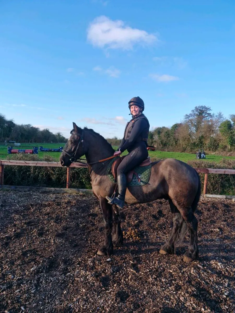 4 year old ride and drive cob - Image 1
