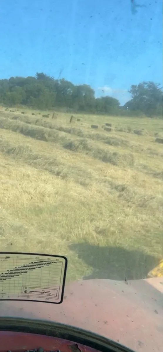 Square bales of hay - Image 2