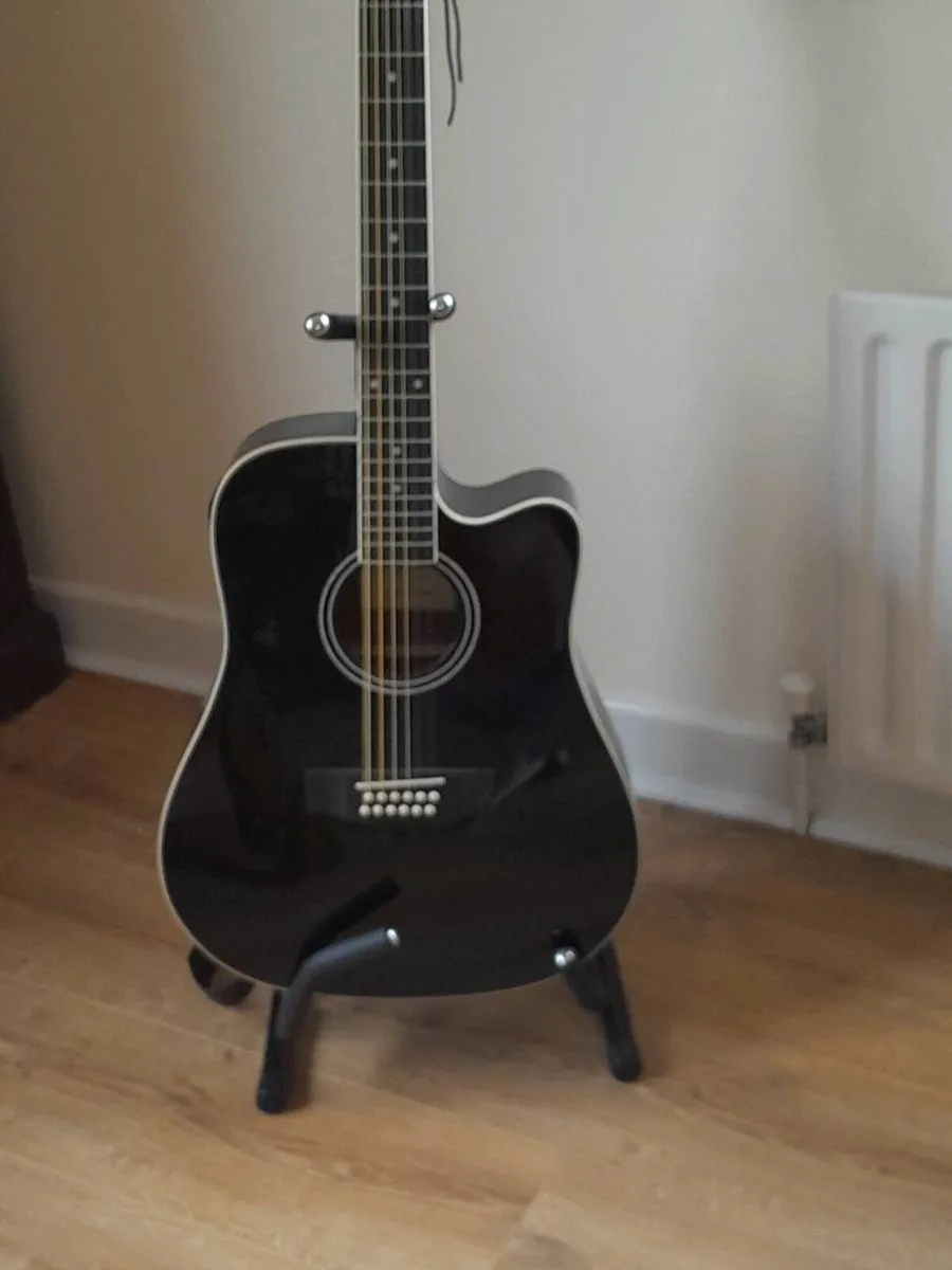 12 string Guitar - Image 1