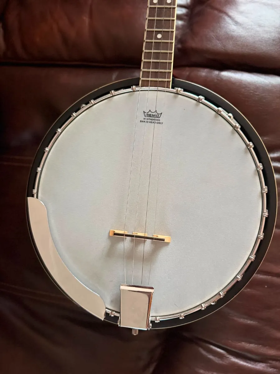 Countryman Tenor Banjo - Image 2