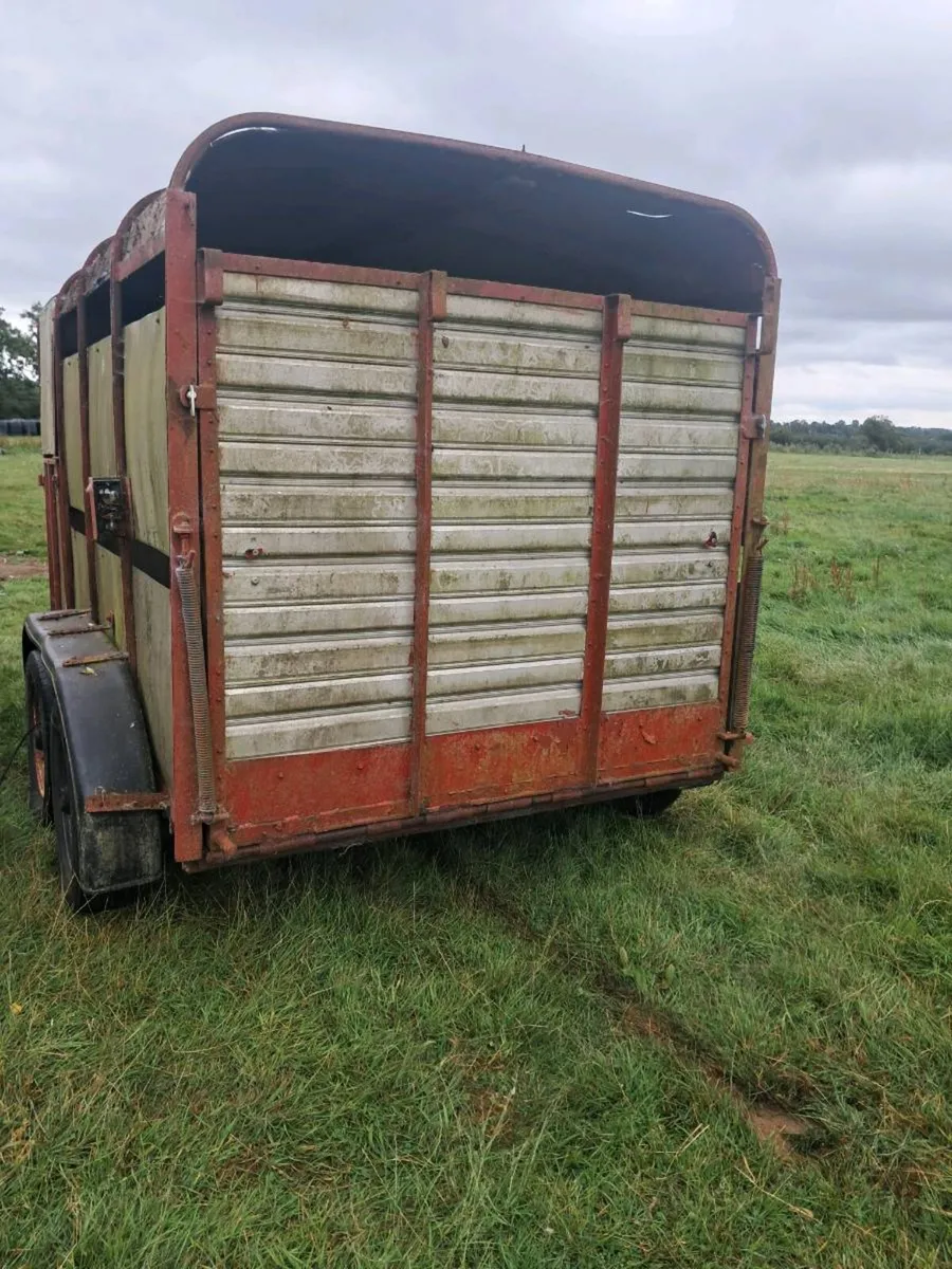 Cattle trailer - Image 3