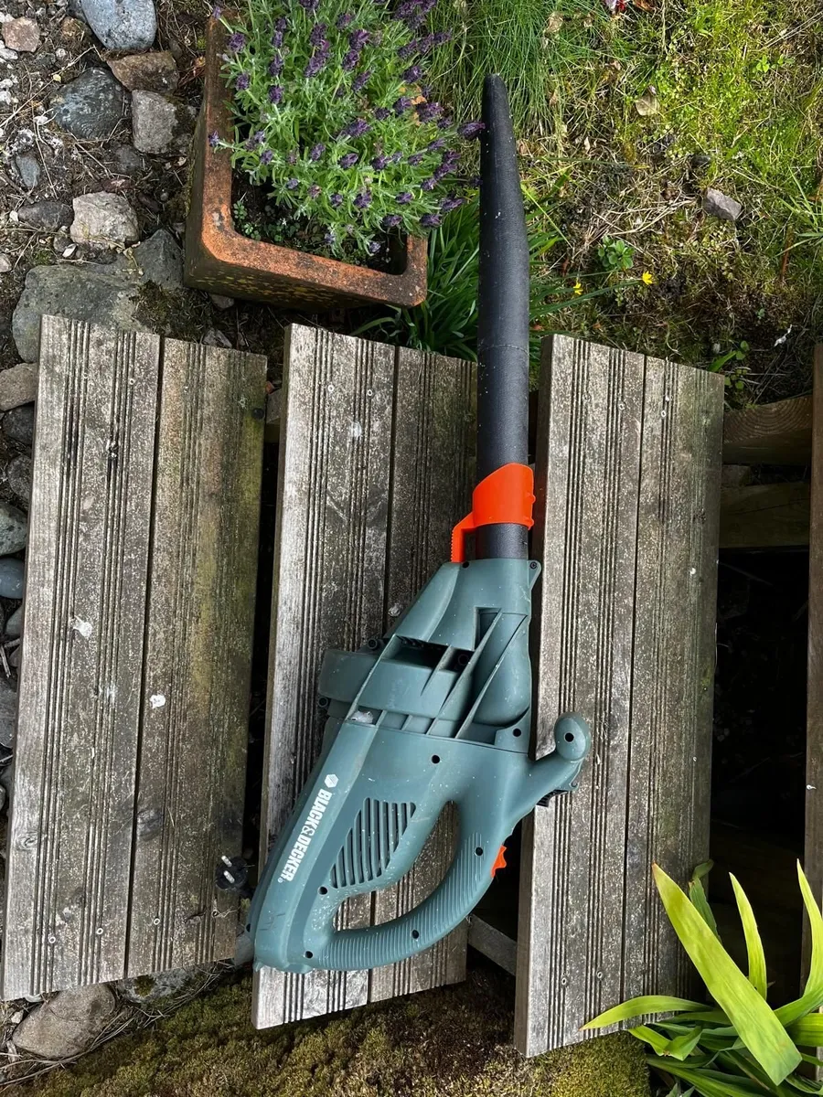 Electric leaf blower (Black and Decker)