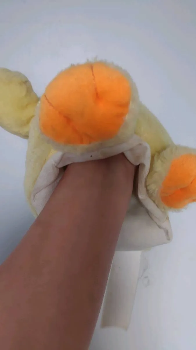 Quacking duck - Image 2