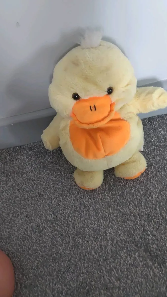 Quacking duck - Image 3