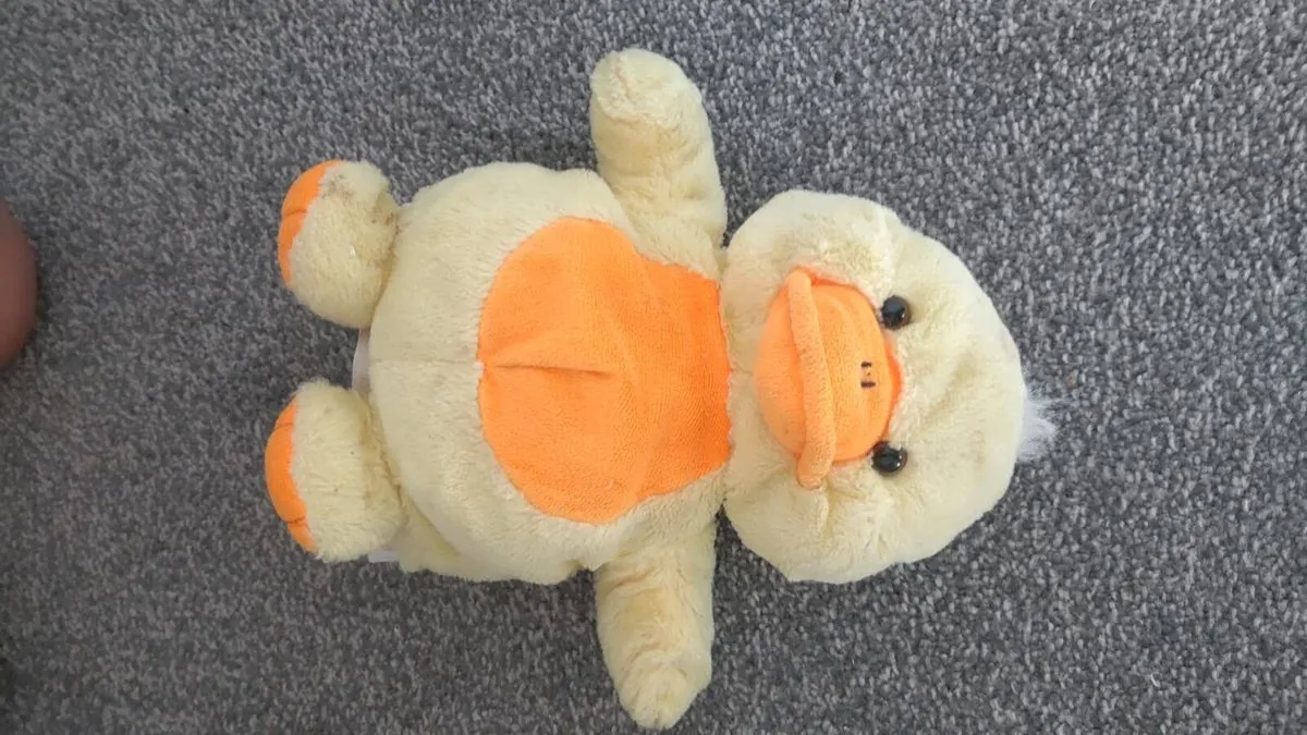 Quacking duck - Image 4