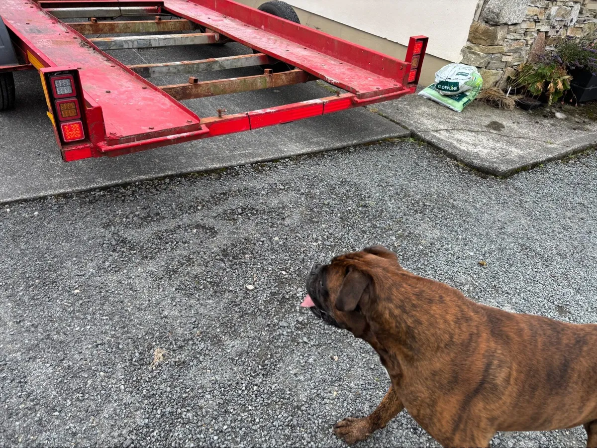 Car trailer - Image 3