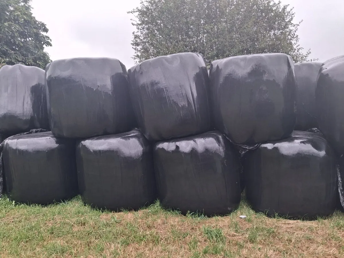 Haylage - Image 1