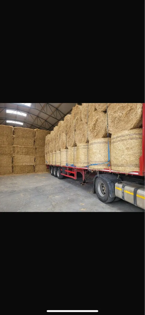 Barley straw