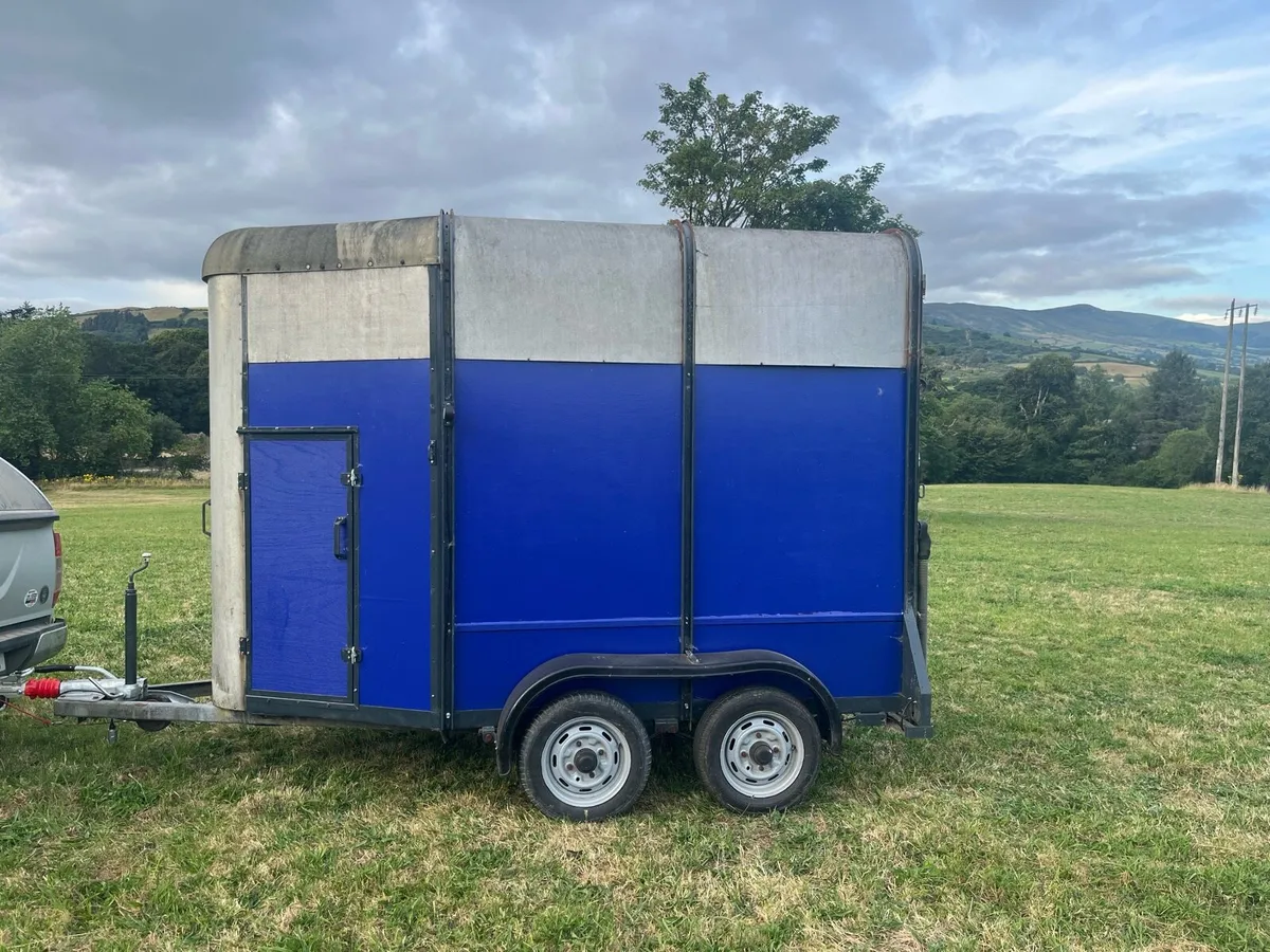Ifor Williams Horse Box - Image 3