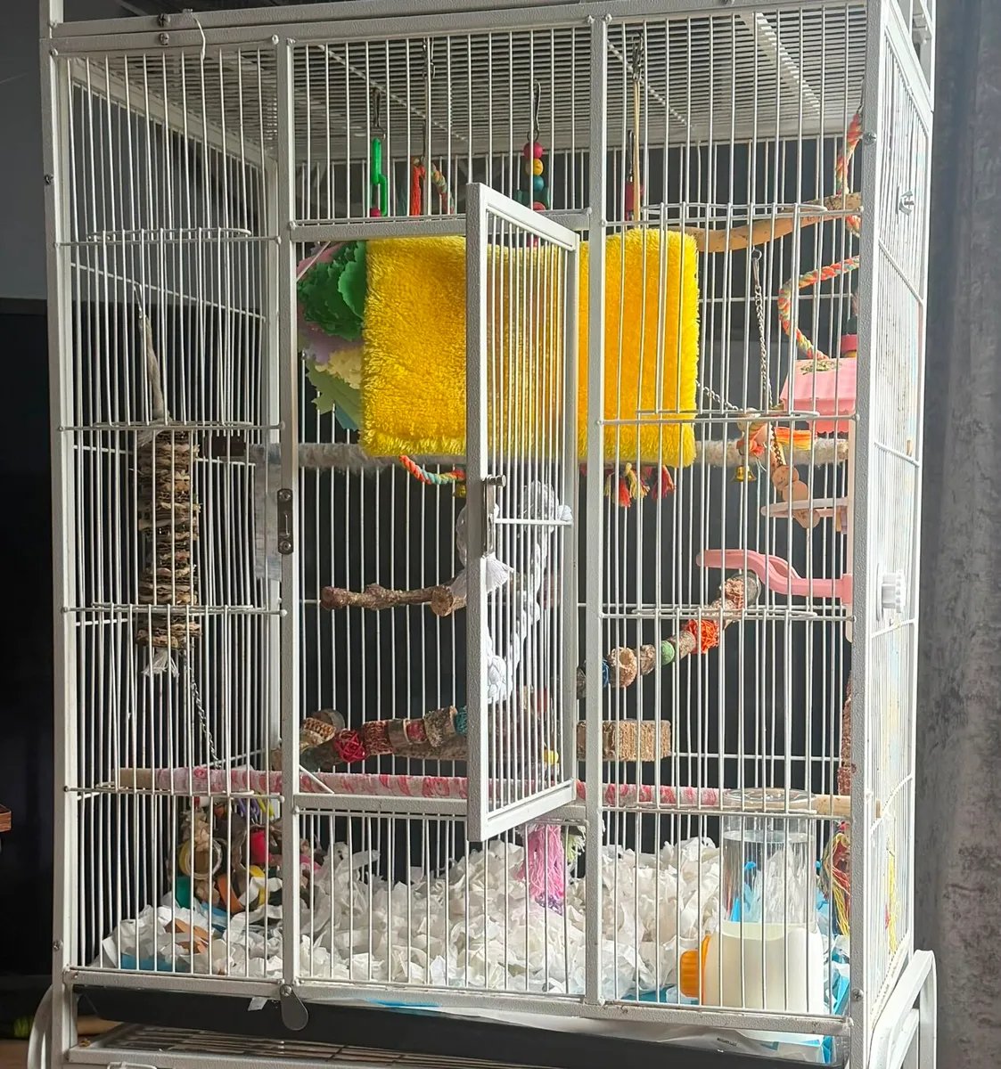Bird and cage - Image 4