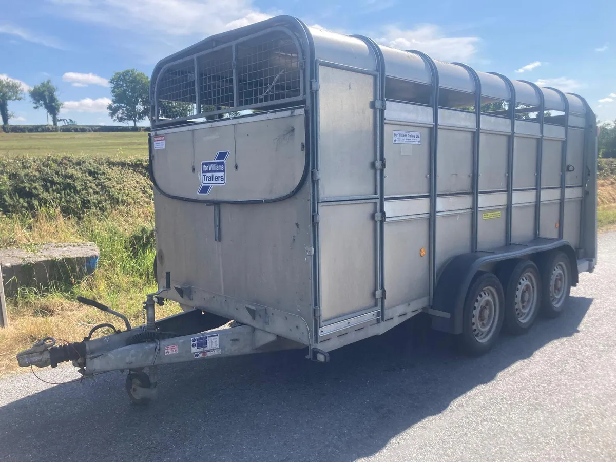 2018 Ifor Williams TA510-14 Tri  Sheep Decks - Image 2