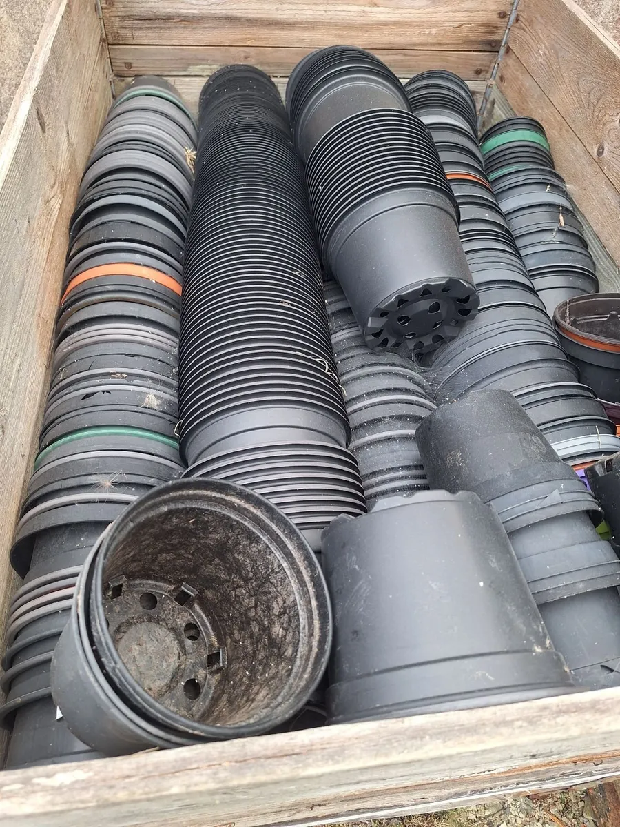 Pots