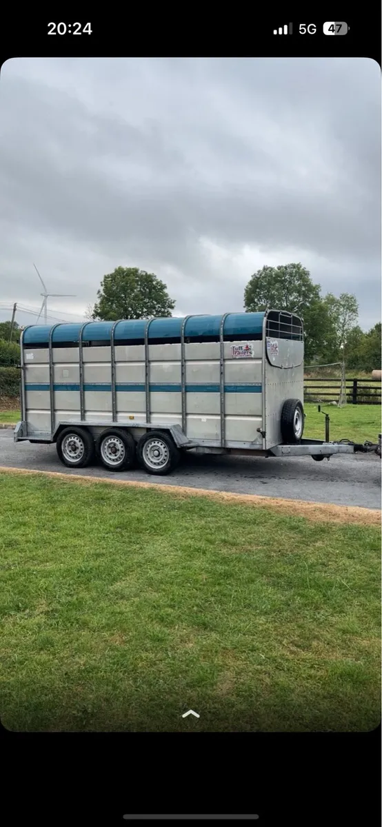 Tuffmac cattle trailer - Image 1