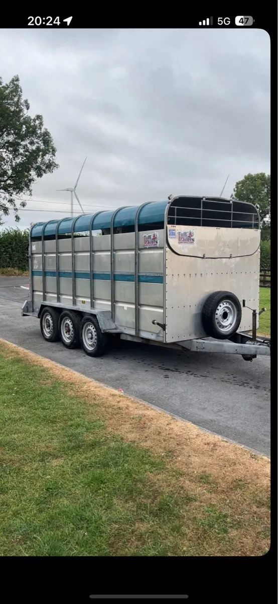 Tuffmac cattle trailer - Image 2