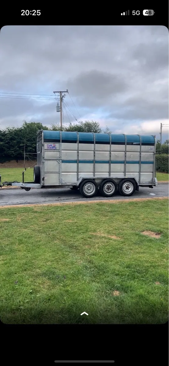 Tuffmac cattle trailer - Image 3