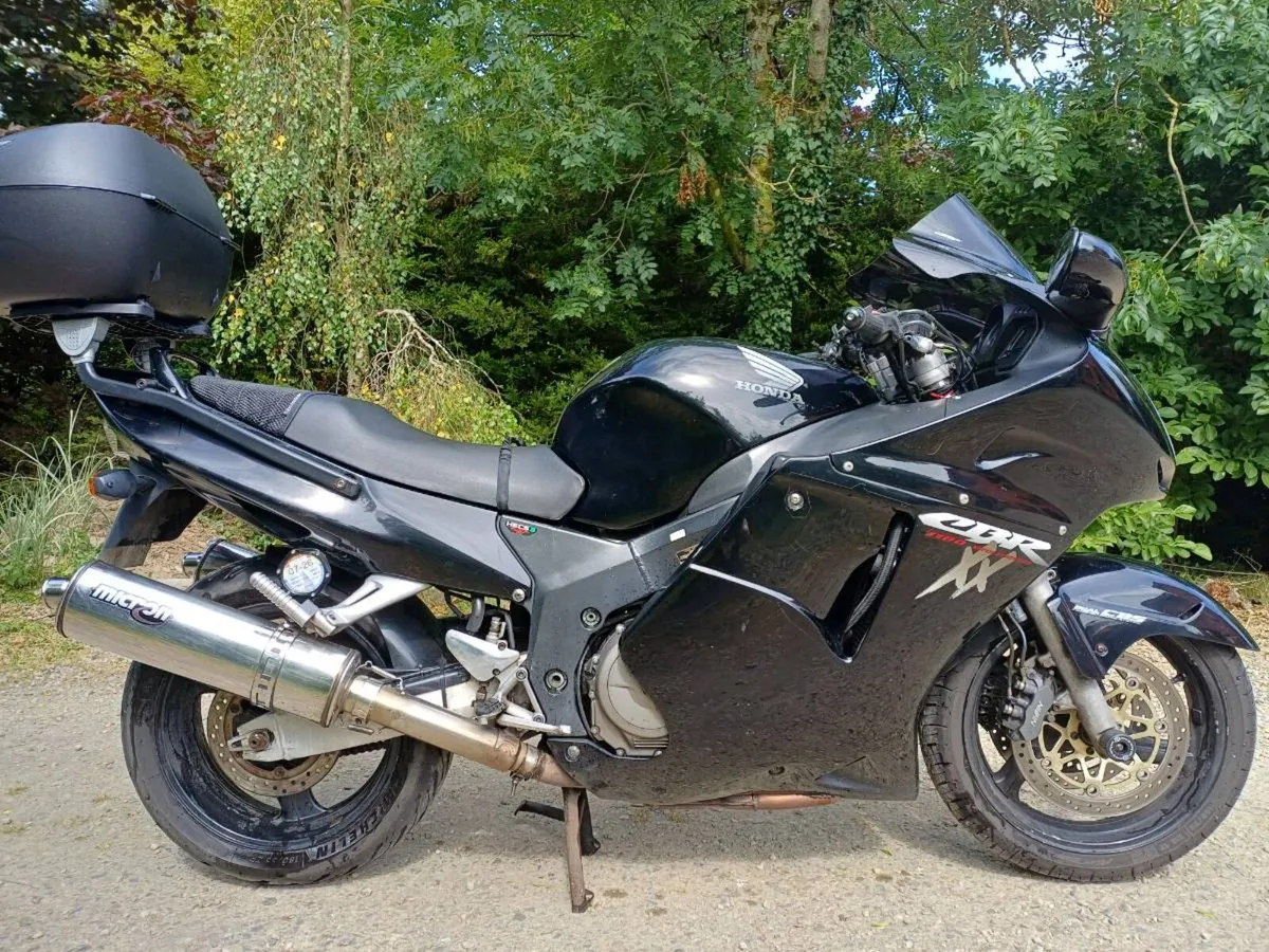 Honda Blackbird 2001 - Image 1