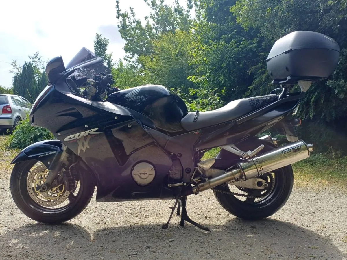 Honda Blackbird 2001 - Image 2