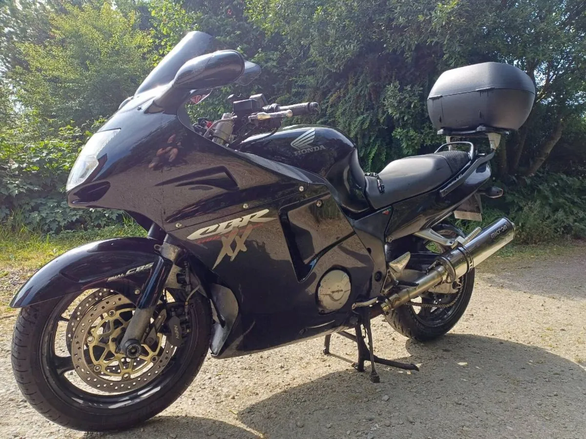 Honda Blackbird 2001 - Image 4