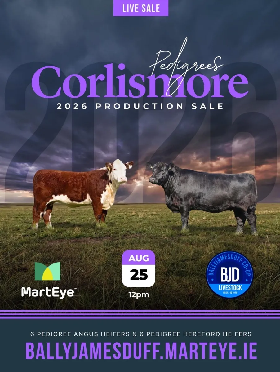 CORLISMORE ANGUS & HEREFORD PRODUCTION SALE