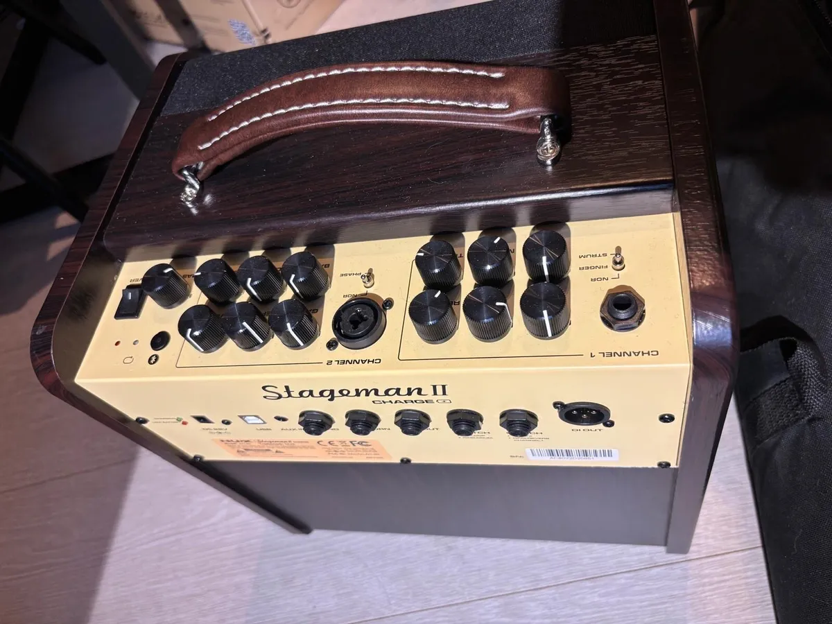 Nux Stageman II AC -80 and Microphone - Image 3