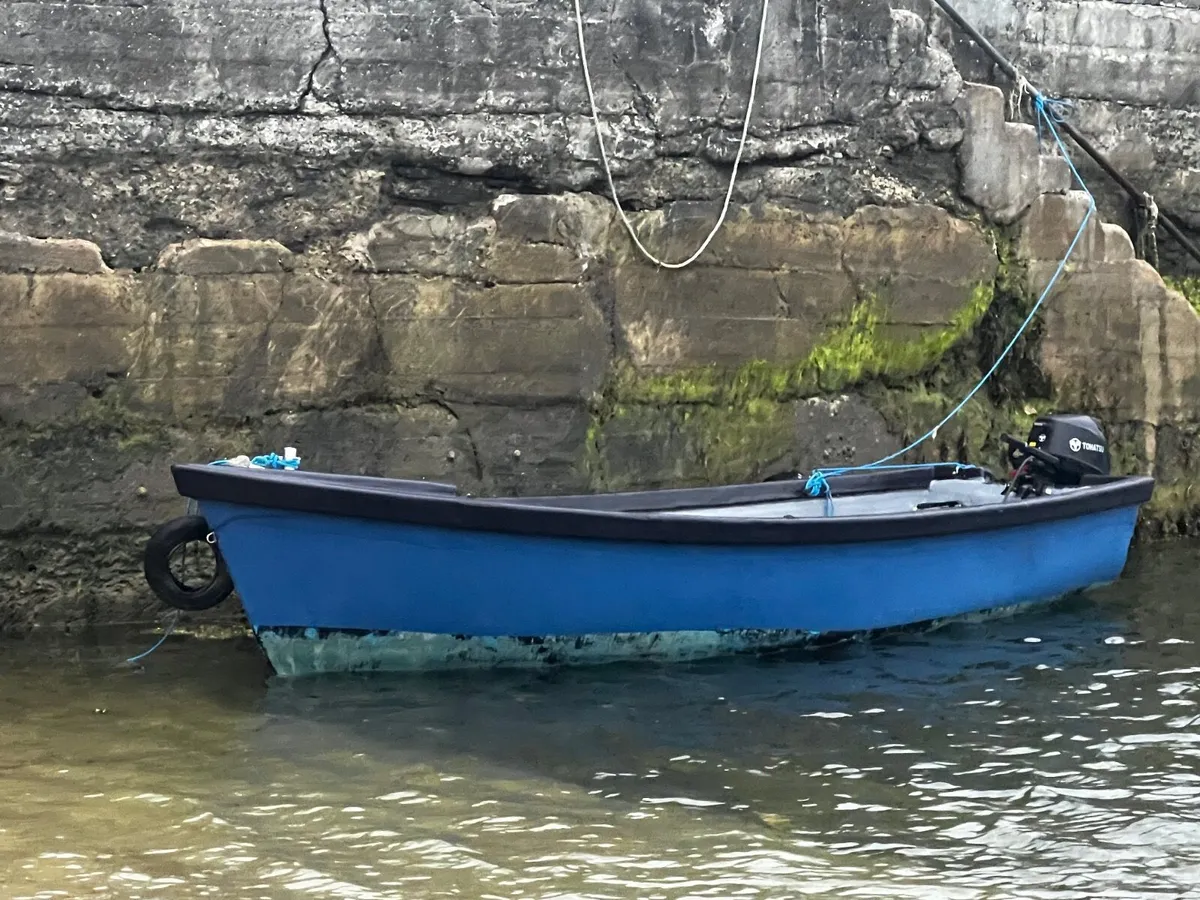 19 foot punt boat for sale with engine - Image 3