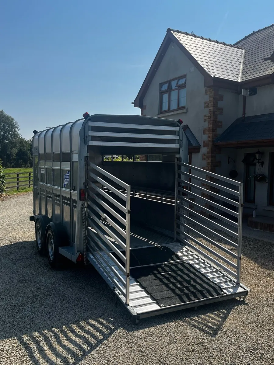 Ifor Williams 12x6x7 Highroof Trailer - Image 4