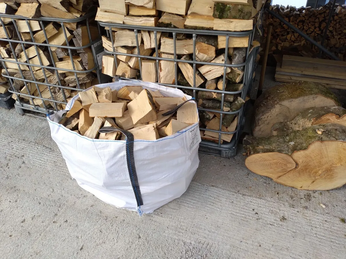 Ash Firewood - Image 3