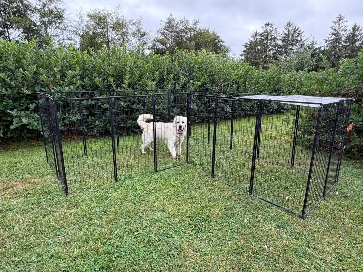 Pet enclosure / Dog run - Image 1
