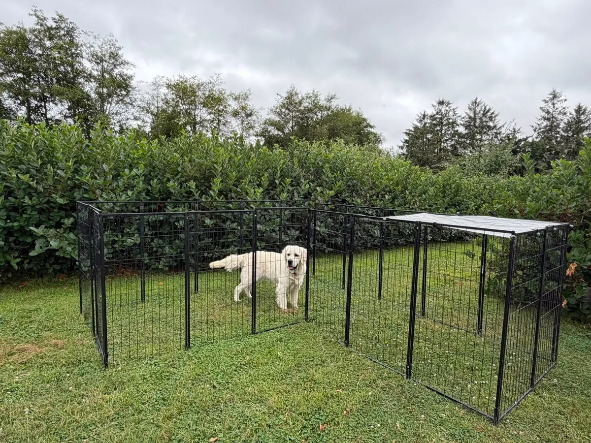 Pet enclosure / Dog run - Image 3
