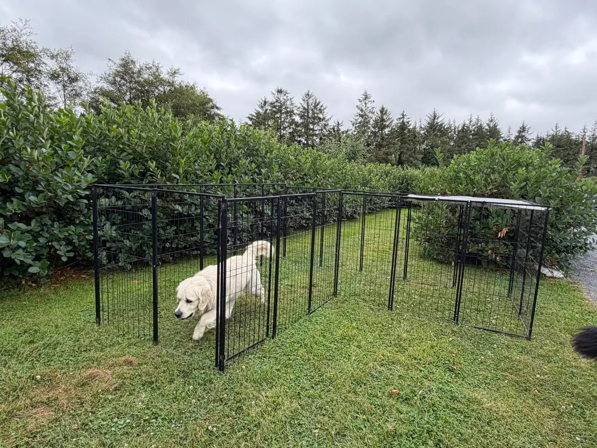 Pet enclosure / Dog run - Image 4