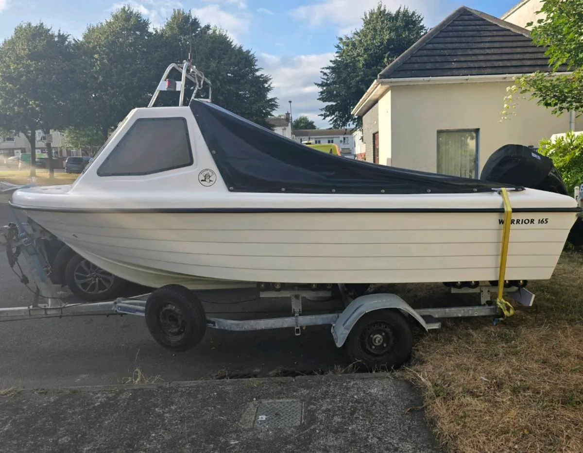 Warrior 165 Mercury 60 EFI - Image 1