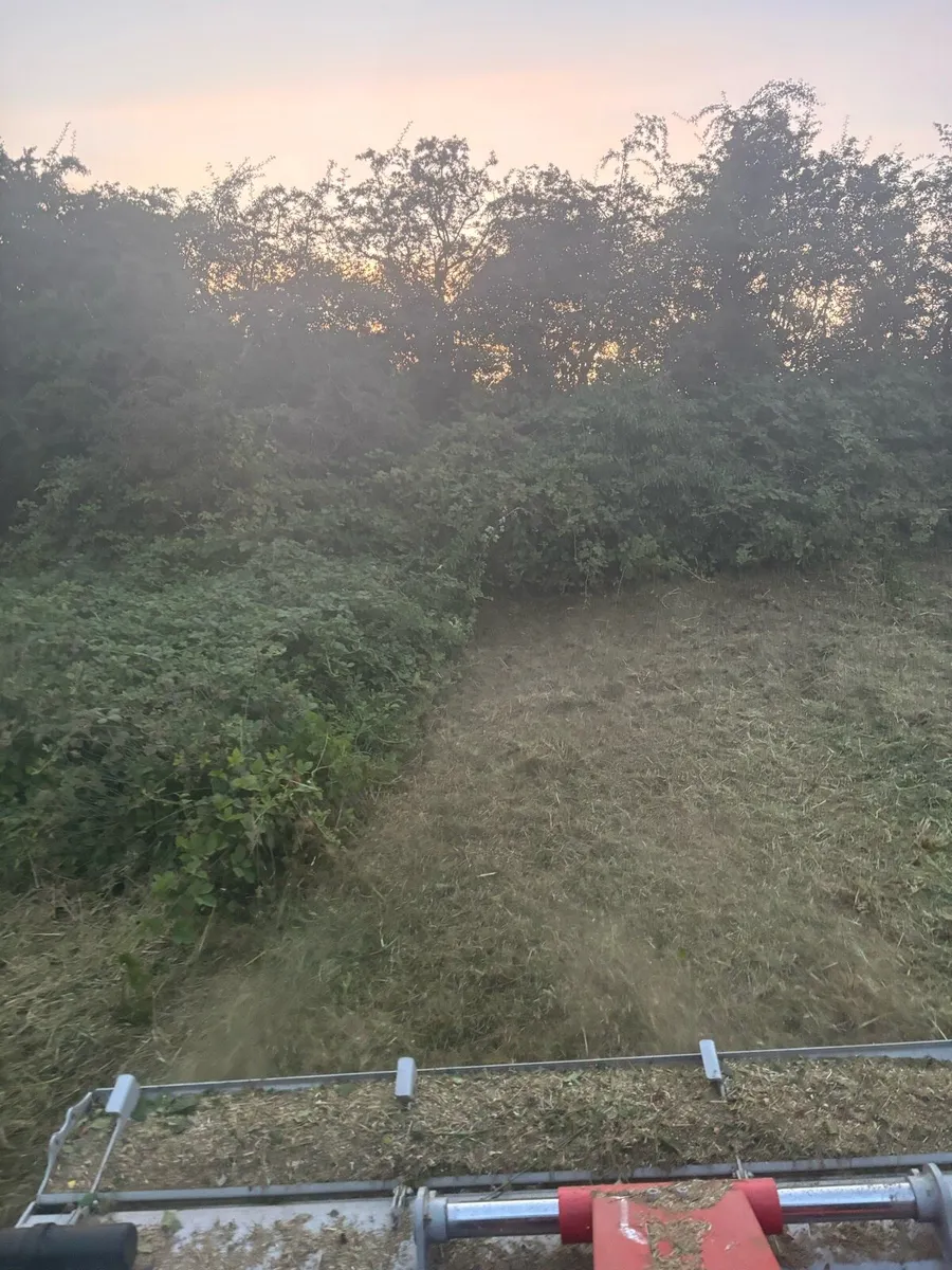 Mulching - Image 4